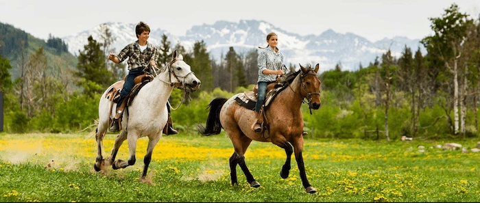 Confident plus-size woman riding Salford Priors a horse through a field with a smile on her face.